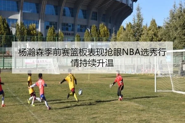 杨瀚森季前赛篮板表现抢眼NBA选秀行情持续升温